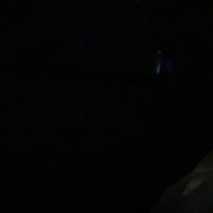 Meet your Posher, Mona